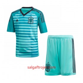 Spanien Fodboldtrøjer Målmand Børn Hjemmebanesæt VM 2018