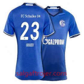 FC Schalke 04 Fodboldtrøjer COKE Hjemmebanesæt 2017/18 Kort ærmer