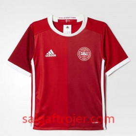 Danmark Fodboldtrøjer Hjemmebanesæt Euro 2016 Kort ærmer