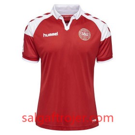 Danmark Fodboldtrøjer Hjemmebanesæt 2017/18 Kort ærmer