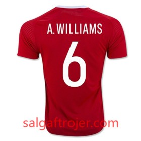 Wales Fodboldtrøjer A WILLIAMS Hjemmebanesæt Euro 2016 Kort ærmer